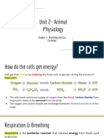 Unit 2 - Chapter 3