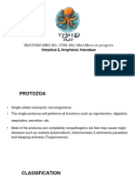 Intestinal 0 Amphizoic Amoebae Sikatema Mike PDF