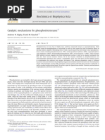 (BIGLEY RAUSHEL, 2013) Catalytic Mechanisms For Phosphotriesterases