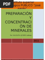 Preparacion y Concentracion de Minerales