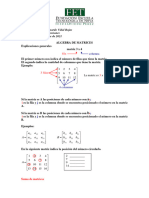 Algebra de Matrices Fet