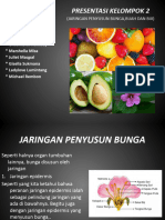 Presentasi KMK 2 (Bunga Buah Biji)