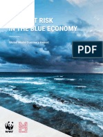 BlueEconomy SummaryReport v02 MSG