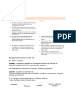 Grade 8 Biology FA 4 Question and Answer - Enzymes