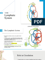 The Lymphatic System