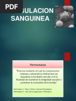 Fisiología Sanguínea 4