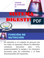 6 Sistema Digestivo