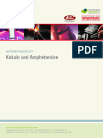 Infoblatt Kokain Amphetamine FINAL