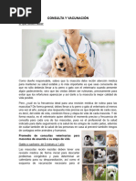 Servicios Médicos Veterinarios