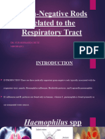 Gram-Negative Rods Related To The