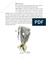 01.07 - Muschii Extrinseci Ai Globului Ocular