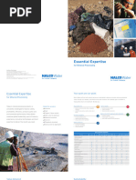 B-1114print Essential Expertise Mining PDF