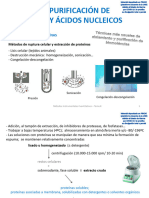 Tema 8. Purificación