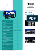 Grupo Electrogeno Nafta 6gf 4 Ficha Tecnica