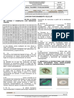 Biologia 06. Evaluacion Funcionamiento Celular