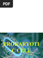 Prokaryotic Cell