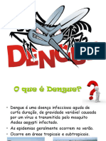 Apresentaçãopalestradengue