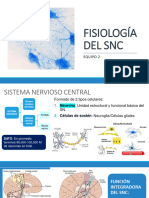 Fisiología Del SNC