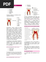 Anatomia Dentária