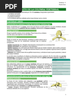 COLUMNA - Cap. 4 