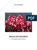 Guia de Cultivo ROSAS DO DESERTO