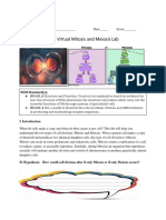 5 Virtual Mitosis and Meiosis Lab (CNY Homework)