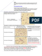 Cours 9 Fermentations