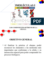 Biomoléculas 1