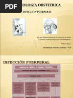 Infección Puerperal