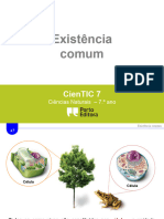 A7 Existencia Comum