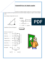 Trigo Cap 2