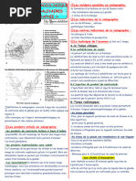 Resumé 02-Glandes-Salivaires