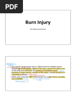 4burn Injury (4 Files Merged)