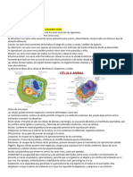 EXAMEN BIOLOGÍA Guia