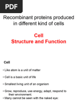 BTN-345 L1 Cell Structure