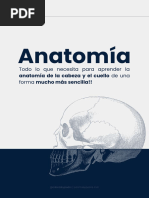 ANATOMÍA - CABEZA Y EL CUELLO - Compressed