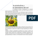 El Girasol