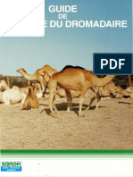 Faye Guide Dromadaire ID311057