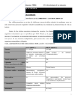 U.t.1. - Segunda Parte Células Procariotas (Bacterias)