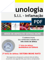 Aula 3 Inflamação