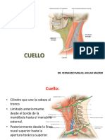 Guias Unificadas Cabeza y Cuello