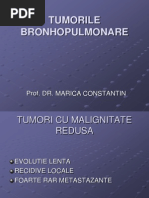 Tumorile Bronhopulmonare: Prof. Dr. Marica Constantin