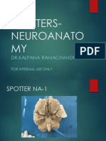 Neuroanatomy Spotters DR - Kalpana