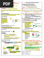 Bio Phto and Cellular