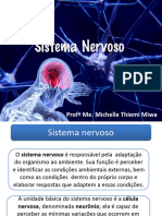 Sistema Nervoso