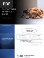 Fluidoterapia Perros y Gatos Diapositivas