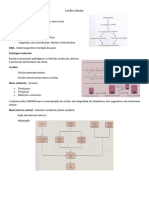 Lesão Celular - Resumo