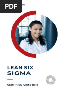 Lean Six Sigma White Belt