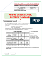 Acidos Carboxilicos y Esteres SAA