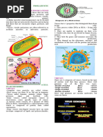 Acellular and Prokaryotic Microbes Reviewer